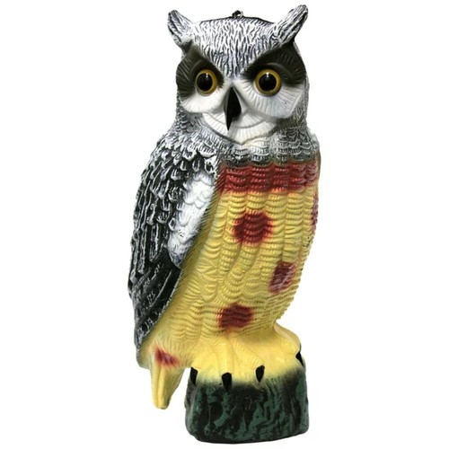Large realistic owl - realistic, decoy