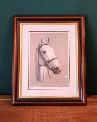 Desert orchid equine portrait - orchid,