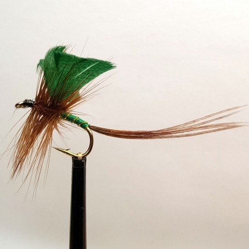 Mayfly green drake - mayfly, fly