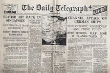 Vintage Newspaper The Daily