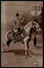 DRUM HORSE 2ND LIFE GUARDS