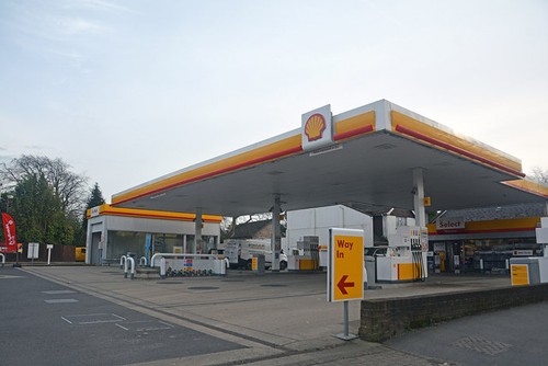 Photo 6x4 lymington shell - photo,