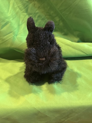 Bestever scottish terrier - scottish,