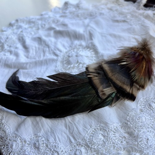 Country feather brooch - brooch,