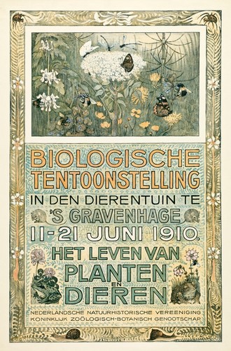 Theo van hoytema 1910 - van,