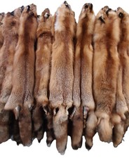 Red Fox Pelt - 44"-48" Length