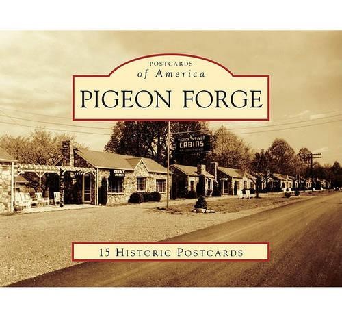 Veta wilson king - king, pigeon