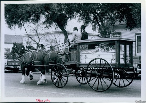 1984 slidell viola - 1984, anderson