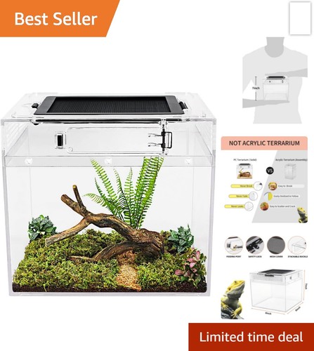 Mini reptile tank - reptile,