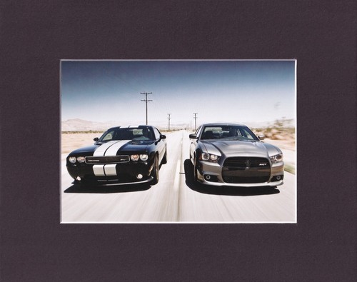 8x10 matted print - 8x10", muscle