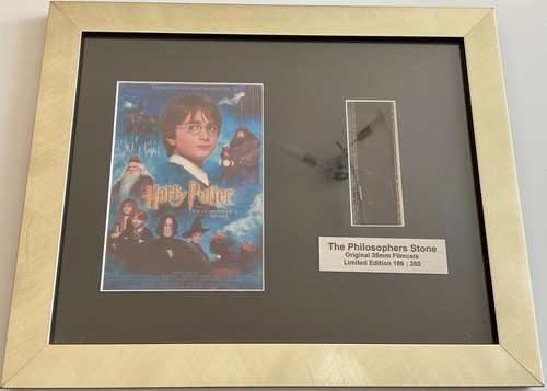 Harry potter and the - potter,