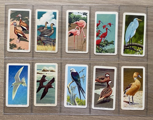 Complete set brooke bond - a, of