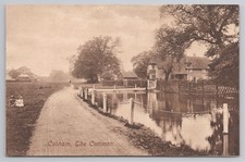 The common cobham - the,