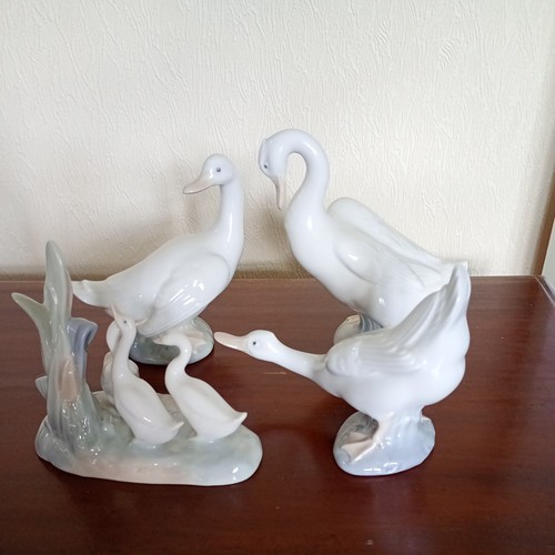 Collection nao lladro - nao, by