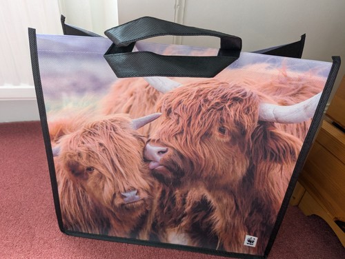 New scotland highland cow - new,