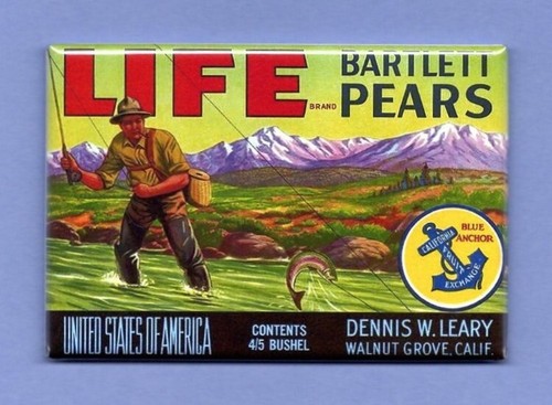Fruit crate label - crate, fridge