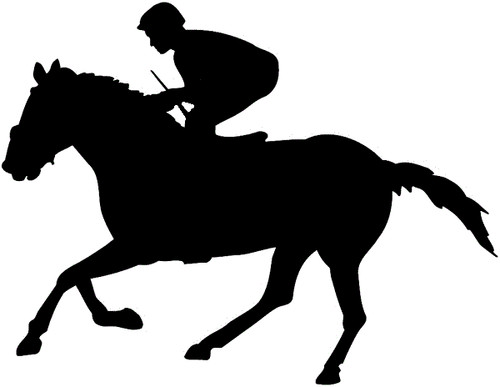 Vinyl decal race - ,