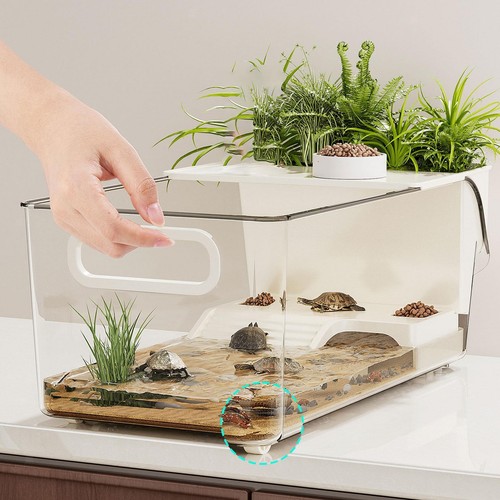 Turtle tank aquarium tortoise - turtle,