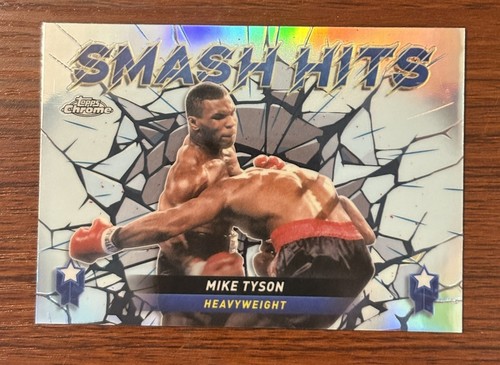 2024 mike tyson smash - tyson,