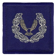 ATC Master Cadet Cloth Badge