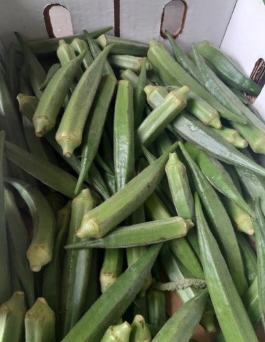 Okro fresh organic - fresh, (uk