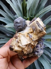 Fluorite Quartz Galena,  Yew