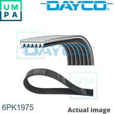 VRIBBED BELT FOR FORD TRANSIT/Van/Bus/Platform/Chassis/CONNECT/TOURNEO MONDEO  