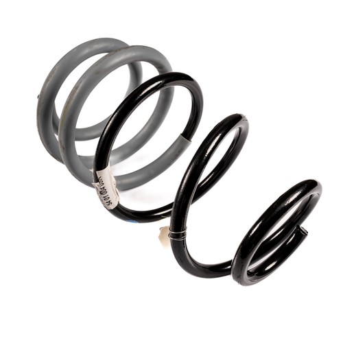 Renault clio mk3 coil spring - renault,