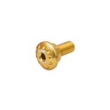 CNC gold rear fender screws +