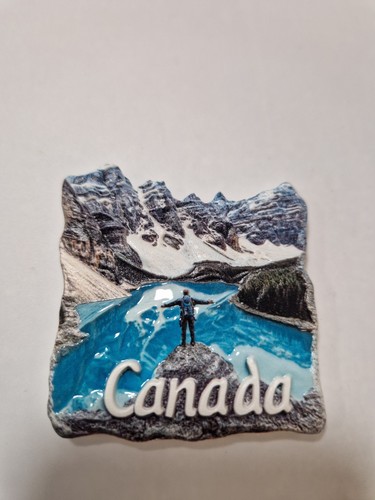 Souvenir fridge magnets - souvenir,