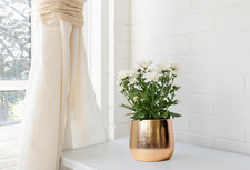 Gold Foil Indoor Ceramic Plant