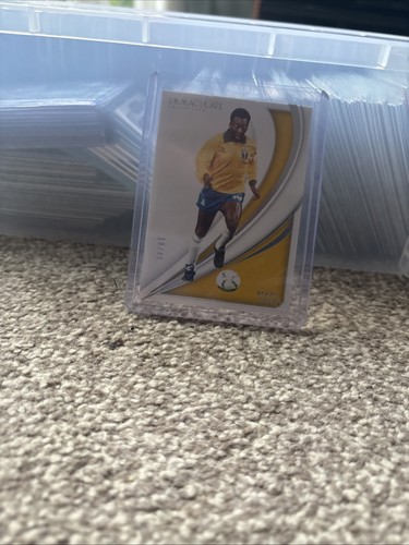 2024 panini immaculate - panini,