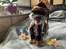 Charlie Bears Anniversary