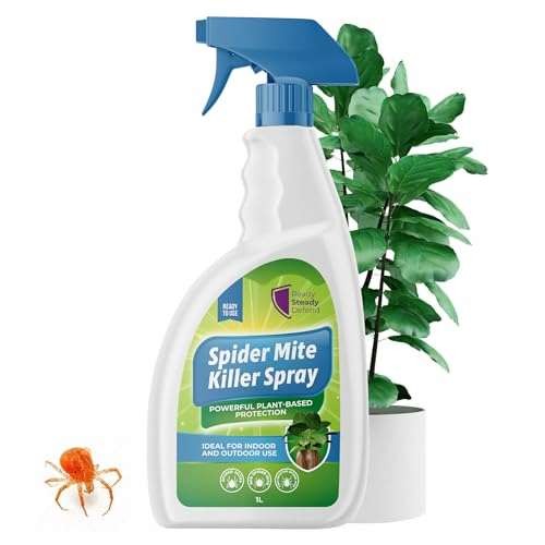 Spider mite killer spray - spider, for