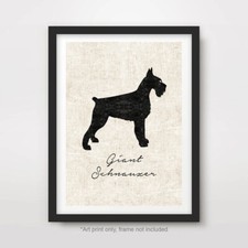 GIANT SCHNAUZER DOG ART PRINT