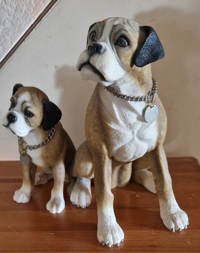 Leonardo boxer dog puppy - dog, &
