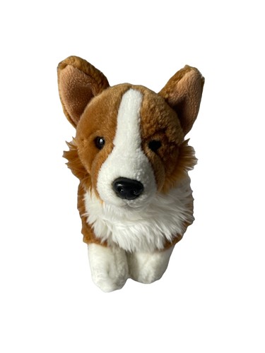 Corgi dog soft - soft, faithful