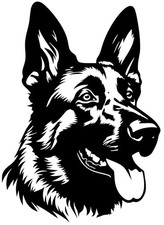 LARGE german shepherd dog