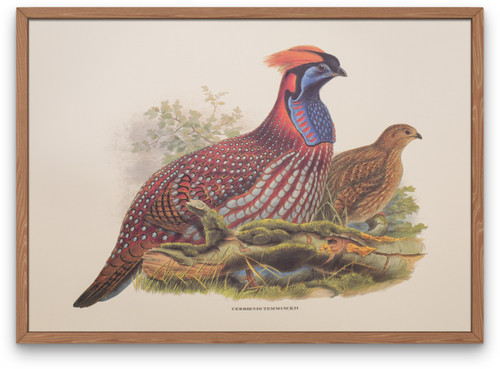 Vintage lithograph art print