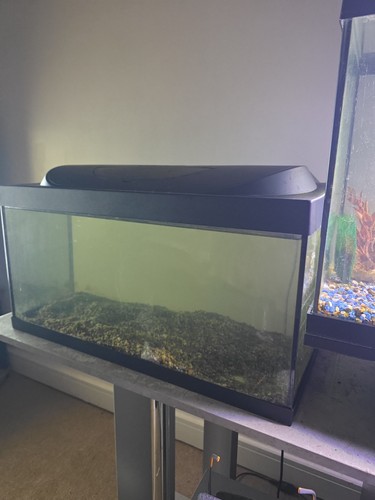 54l fish tank with - 54l, light