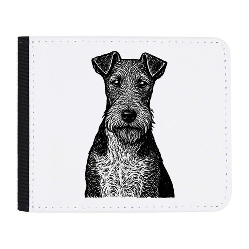 Wire fox terrier - 'wire, portrait'