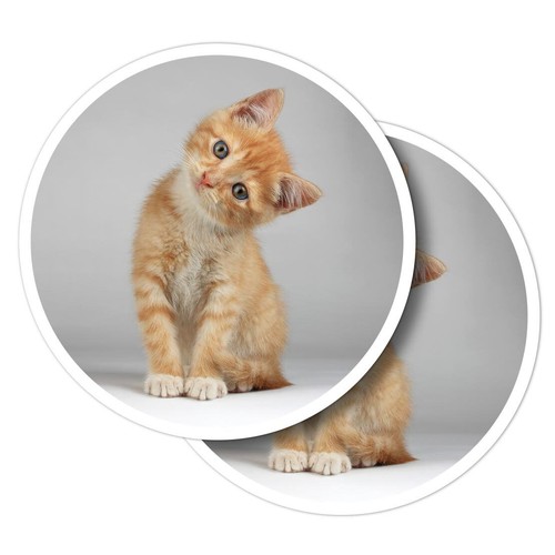 Vinyl stickers cute ginger - 2x,
