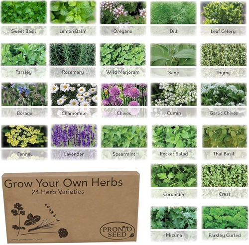 Herb seed bumper pack - herb, grow