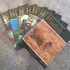 The Illustrated Encyclopedia