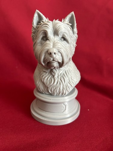 West ireland terrier - west,