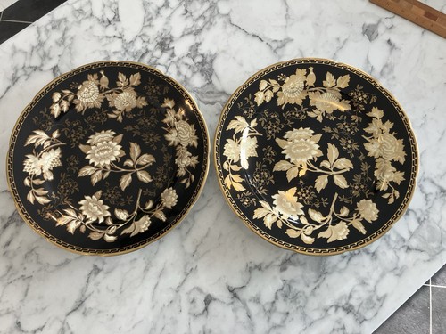 Wedgwood black tonquin - x,