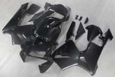 Carbon Fiber Painted Bodywork