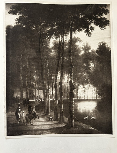 Antique print ash tree - print, avenue