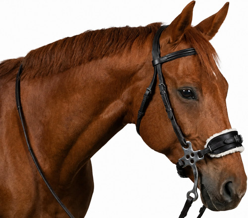 Adjustable leather hackamore - adjustable,