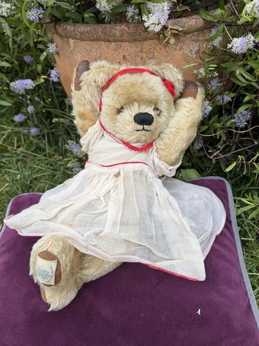 Teddy bear old antique - bear,